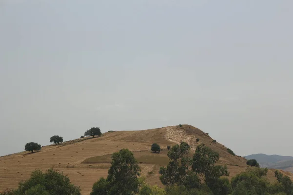 Uma Vista Paisagem Campos Cultivados Sob Céu Claro — Fotografia de Stock