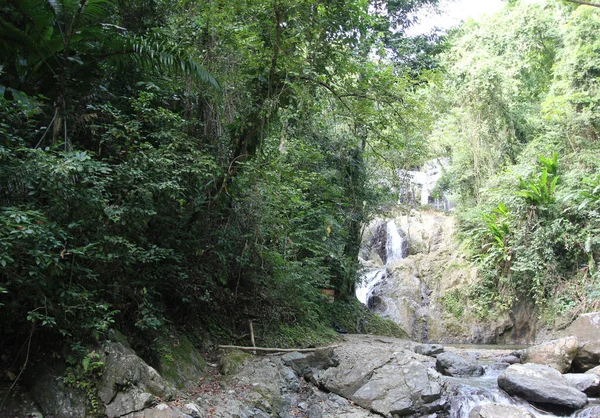 Uma Foto Cachoeiras Argyle Caribe Roxborough Trinidad Tobago — Fotografia de Stock