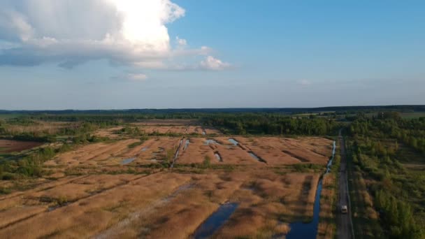 Vista Aérea Del Campo Verano — Vídeos de Stock