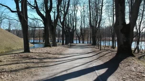 公園内の木々が美しい風景 — ストック動画