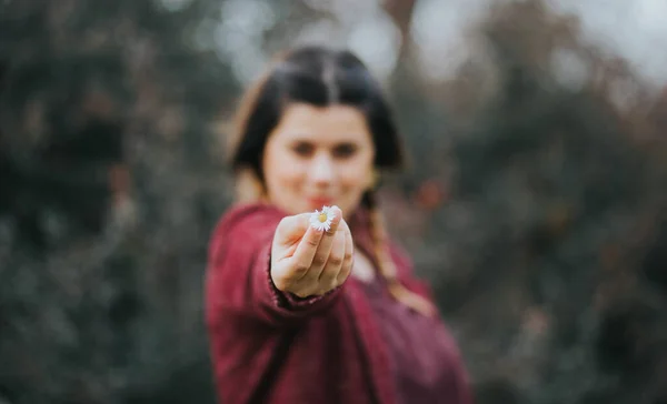 Вибірковий Фокус Знімок Ромашки Руці Красивої Леді Лісі Під Час — стокове фото