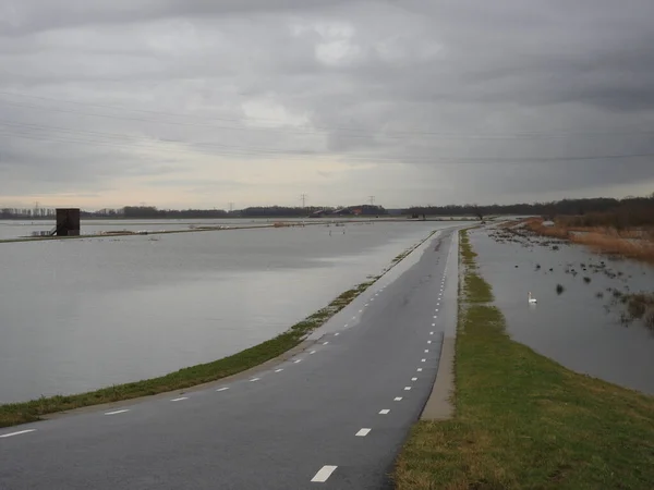 Flooded Road Heavy Rain Biesbosch National Park — Stock Photo, Image