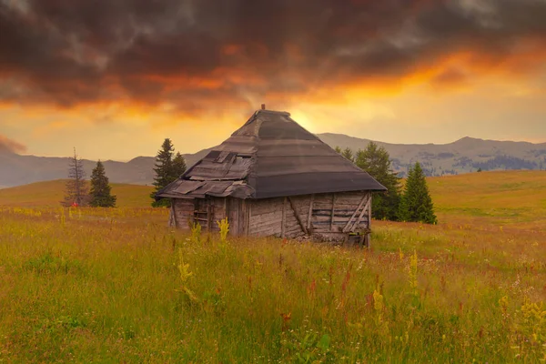 Beautiful Shot Barn Grass Fields Sunset — Stock Photo, Image