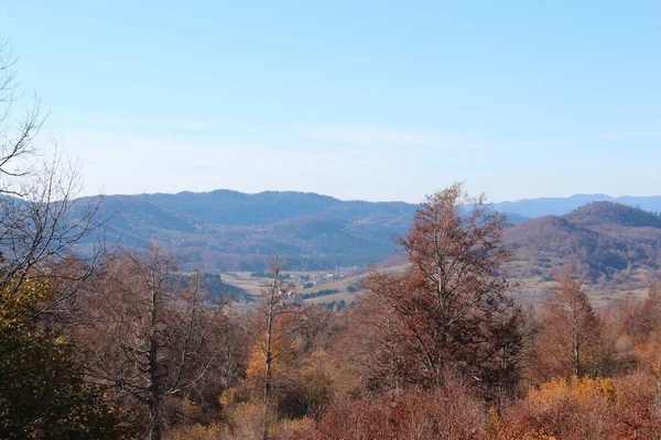 一片美丽的秋天的树 背景是覆盖着植被的小山 — 图库照片