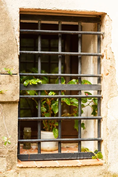 Вертикальный Снимок Цветочного Горшка Черном Окне Решетки — стоковое фото