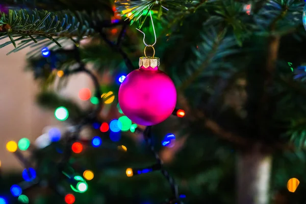 Primer Plano Una Bola Navidad Rosa Árbol Navidad Decorado Con — Foto de Stock