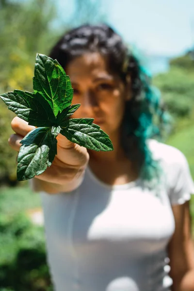 Plano Vertical Una Hembra Mostrando Detalles Hojas Verdes — Foto de Stock