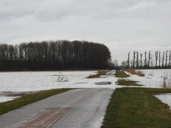 Una Carretera Inundada Después Fuertes Lluvias Parque Nacional Biesbosch — Foto de Stock