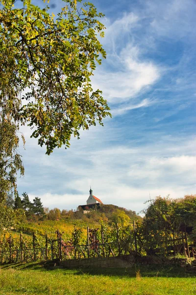 Vertical Shot Beautiful Natural Landscape — Stock Photo, Image