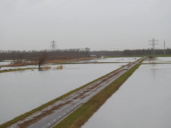 Road Biesbosch National Park Heavy Rain — Stock Photo, Image