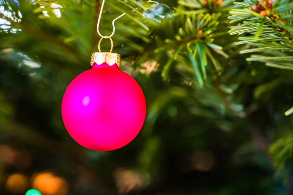 Gros Plan Une Boule Noël Rose Sur Arbre Noël Décoré — Photo