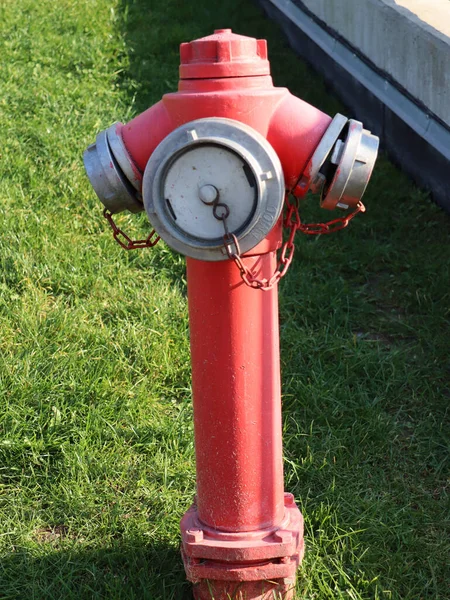 Närbild Röd Brandpost Gräset Parken Används För Att Pumpa Vatten — Stockfoto