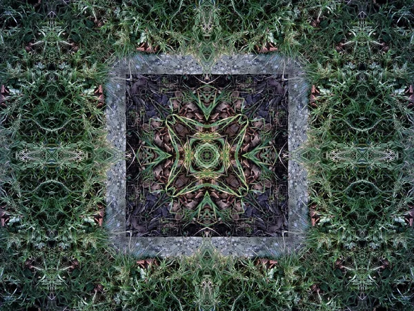 Kaléidoscope Motif Feuillage Vert Miroir Pierre Formant Mandala Centre — Photo