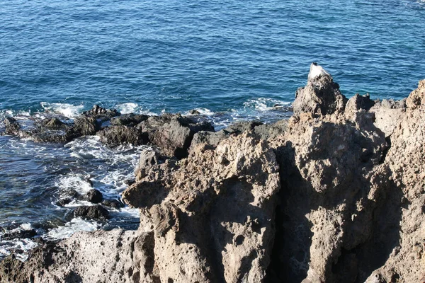 一张用蓝色波浪水拍摄的美丽岩石海岸的特写照片 — 图库照片