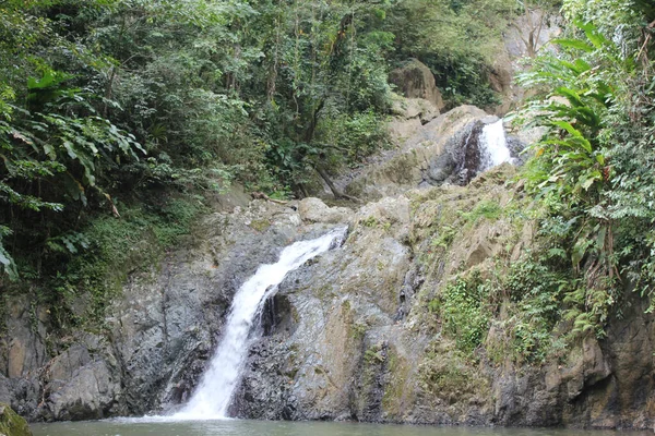 Colpo Cascate Argyle Nei Caraibi Roxborough Trinidad Tobago — Foto Stock