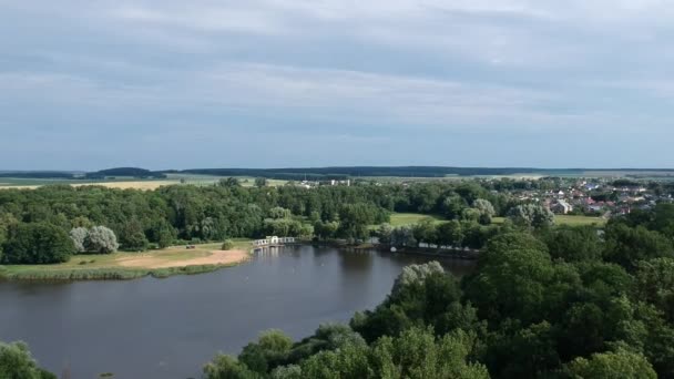 Widok Powietrza Rzekę Lecie — Wideo stockowe