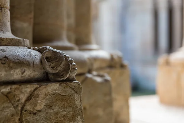 Spanya Ciudad Rodrigo Katedrali Nin Bir Sütuna Dayanan Küçük Bir — Stok fotoğraf