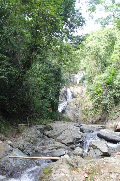 Eine Aufnahme Der Argyle Wasserfälle Der Karibik Roxborough Trinidad Tobago — Stockfoto