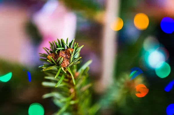 Closeup Tiro Uma Árvore Natal Folhas Decoradas Com Luzes Led — Fotografia de Stock