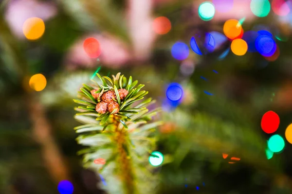 Primo Piano Albero Natale Foglie Decorate Con Luci Led Vacanze — Foto Stock