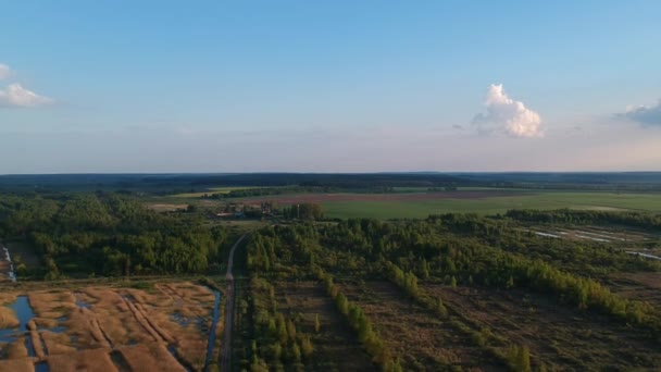 Vista Aérea Del Campo Verano — Vídeos de Stock