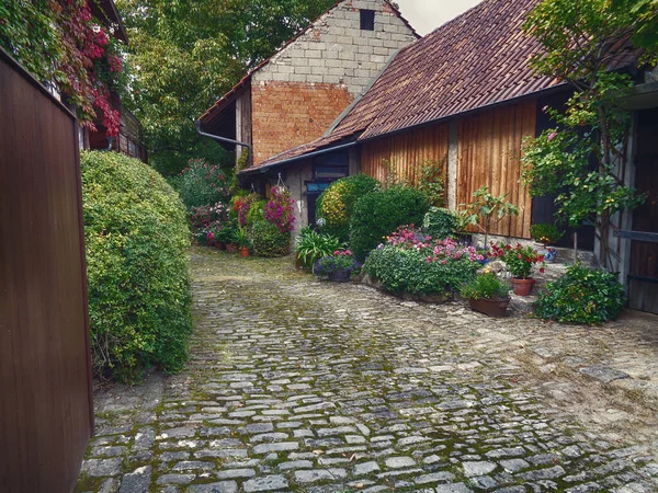 Komfortní Dům Zahradou Plnou Krásné Vegetace — Stock fotografie