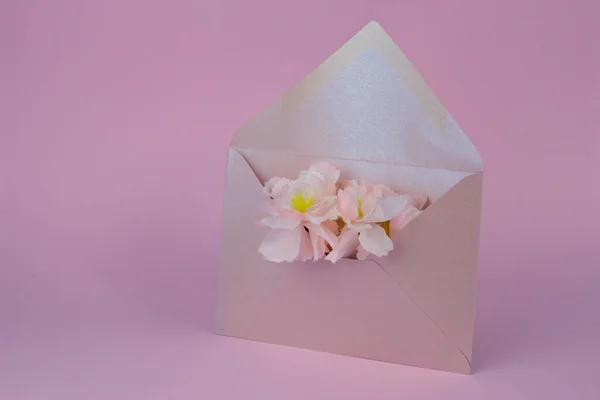 Beautiful Shot Envelope Full Flowers — Stock Photo, Image