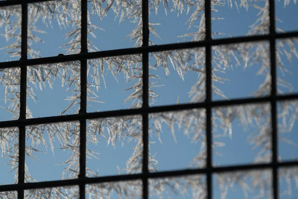얼어붙은 창문에 네모난 모양의 격자가 — 스톡 사진