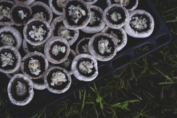 Colpo Testa Funghi Portabella Preparati Ripieni Formaggio Prato Durante Picnic — Foto Stock