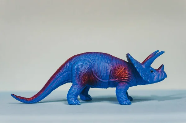 Egy Közeli Kép Egy Kék Játék Triceratops Elszigetelt Szürke Háttér — Stock Fotó