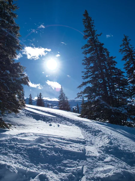 Een Verticaal Lage Hoek Opname Van Een Besneeuwd Pad Bergen — Stockfoto