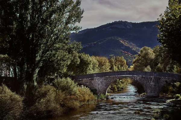 Pont Pierre Voûté Surplombant Ruisseau Eau Entouré Belles Scènes Nature — Photo