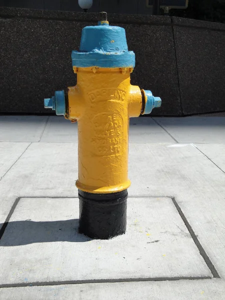 多伦多 加拿大 2010年7月25日 加拿大多伦多的一个消防栓 — 图库照片