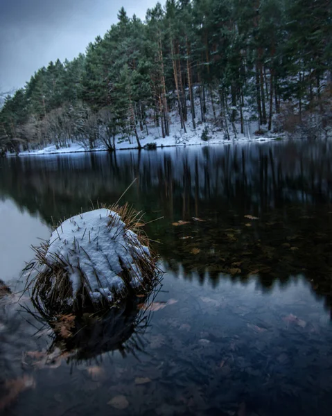 Une Belle Vue Sur Rivière Qui Coule Entourée Arbres Sous — Photo