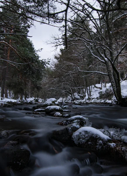 Beautiful View Flowing Rocky River Surrounded Trees Covered Snow — Stock Photo, Image