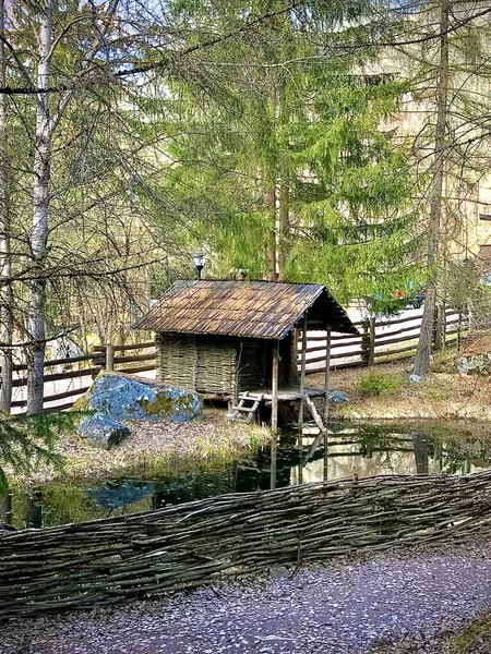 Pionowe Ujęcie Małego Drewnianego Domku Środku Lasu — Zdjęcie stockowe