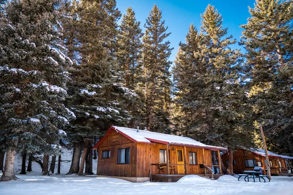 Las Hermosas Cabañas Madera Campo Cubierto Nieve Por Los Árboles — Foto de Stock