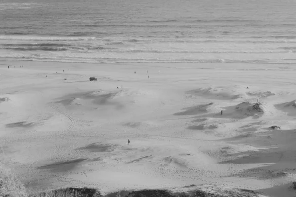 Воздушный Кадр Людей Пляже — стоковое фото