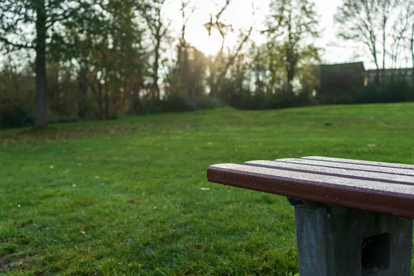 公園内のベンチの選択的フォーカスショット — ストック写真