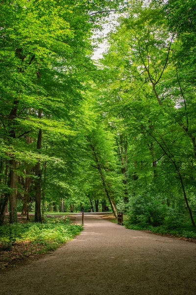 Zöld Városi Park Tavasszal Egy Sétaúttal — Stock Fotó