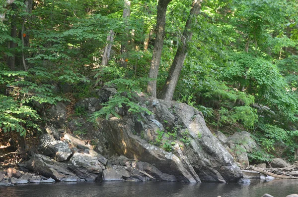 Een Horizontaal Schot Van Een Rots Met Bomen Nabij Rivier — Stockfoto