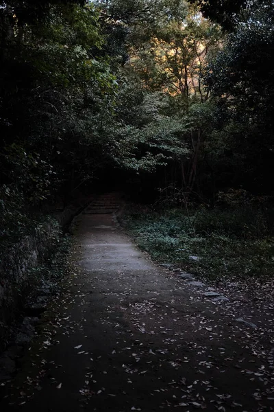 暗闇へと続く全ての道の垂直ショット — ストック写真