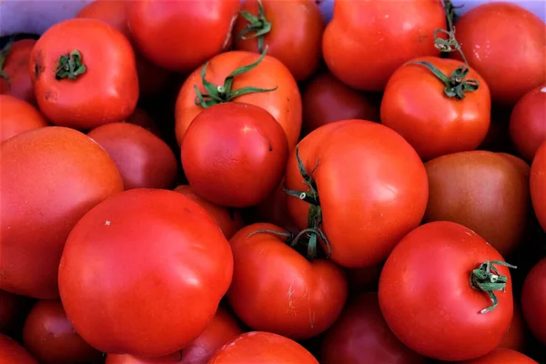 市集里的有机西红柿 — 图库照片