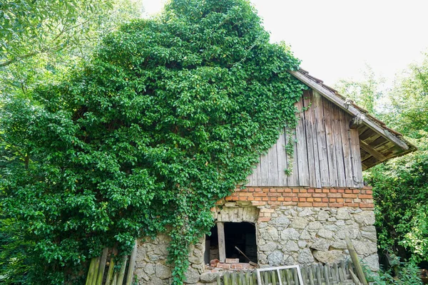 Eine Vertikale Aufnahme Eines Alten Verwitterten Hauses Das Mit Wachsenden — Stockfoto