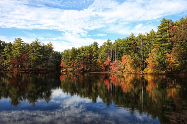 Krajobraz Jeziora Otoczonego Drzewami Pod Sunlight Błękitnym Zachmurzonym Niebem Autumn — Zdjęcie stockowe