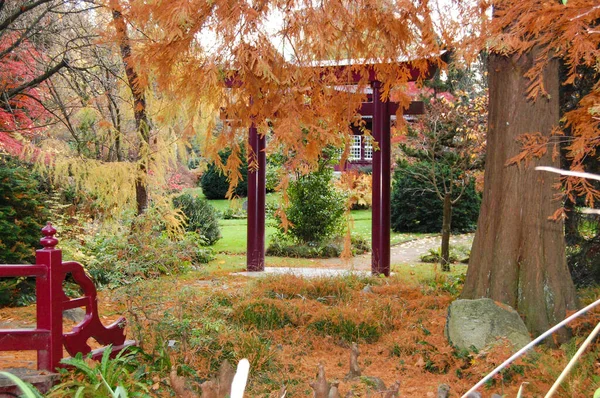Krásný Záběr Podzimní Park — Stock fotografie