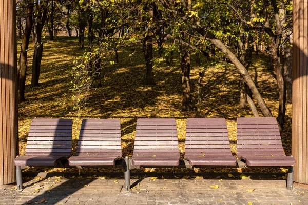 Wooden Benches Autumn Park — Stock Photo, Image