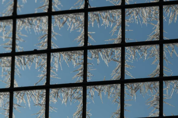 Primo Piano Finestra Invernale Congelata Con Reticolo Metallico Forma Quadrata — Foto Stock