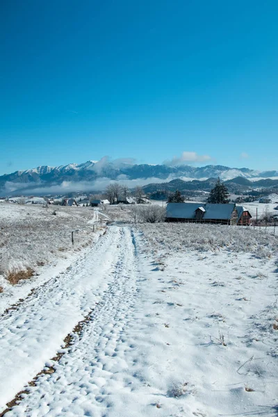 Plano Vertical Campos Abiertos Cubiertos Nieve Con Unas Pocas Casas — Foto de Stock