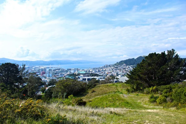 Vue Horizontale Une Vallée Avec Vue Ouverture Sur Paysage Urbain — Photo